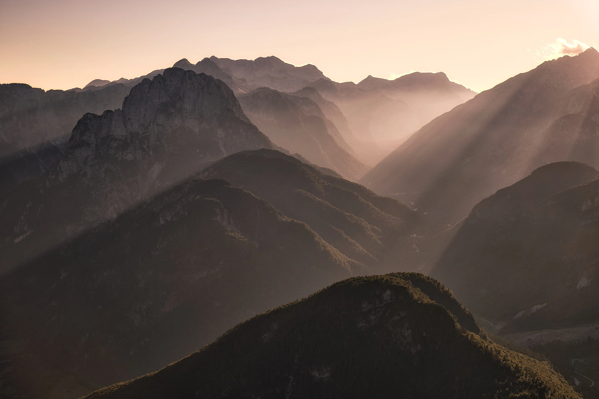 Vielfalt der Natur